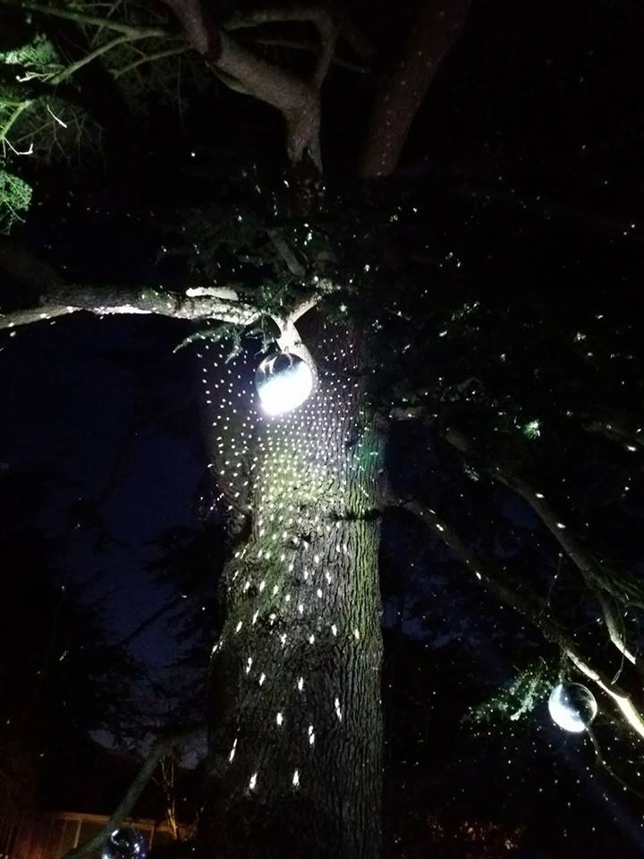 15319593_1306289439421421_1146795264_n