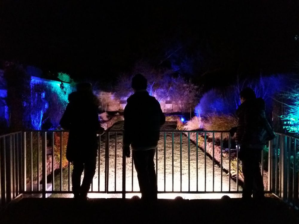 15322590_1306289796088052_1273402540_o